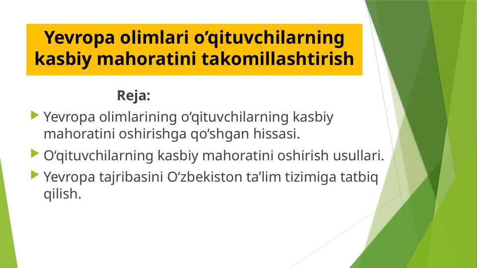 Yevropa olimlari o’qituvchilarning kasbiy mahoratini takomillashtirish
