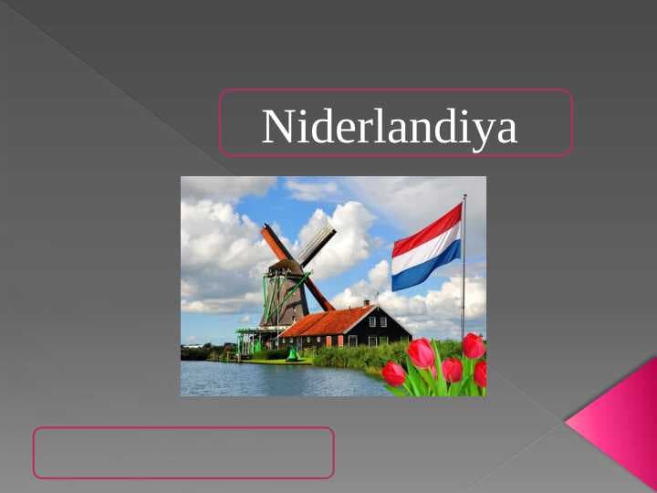 Niderlandiya iqtisodiyoti
