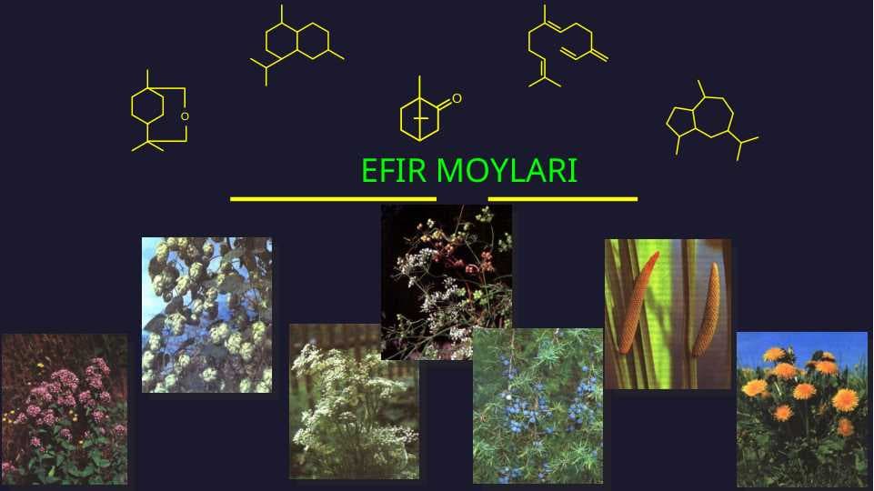 Efir moylari