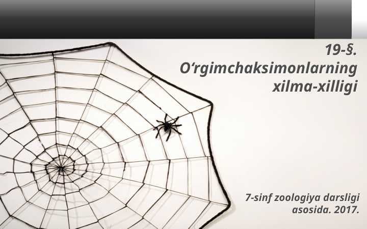 O'rgamchaksimonlarning xilma xilligi