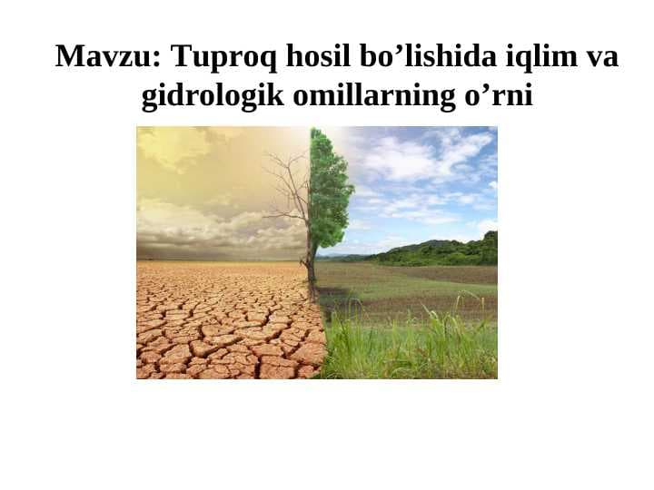 Tuproq hosil bo’lishida iqlim va gidrologik omillarning o’rni