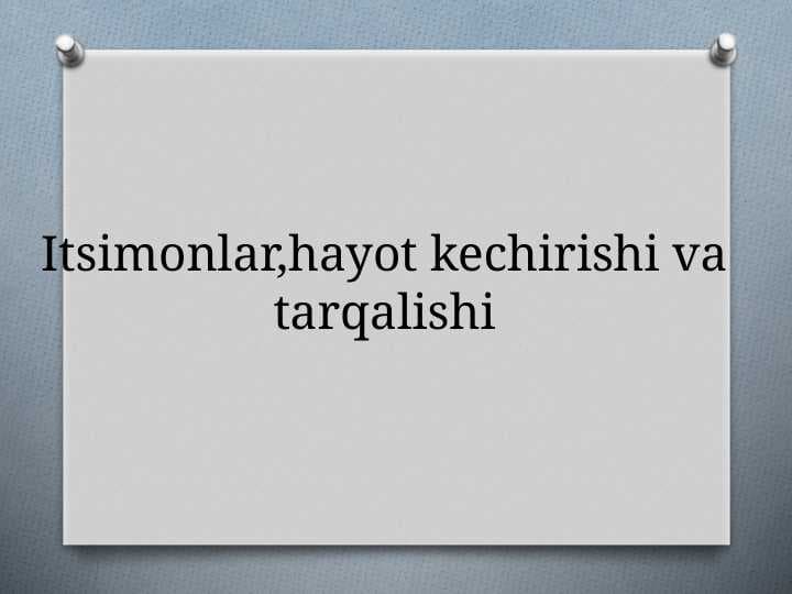 Itsimonlar,hayot kechirishi va tarqalishi