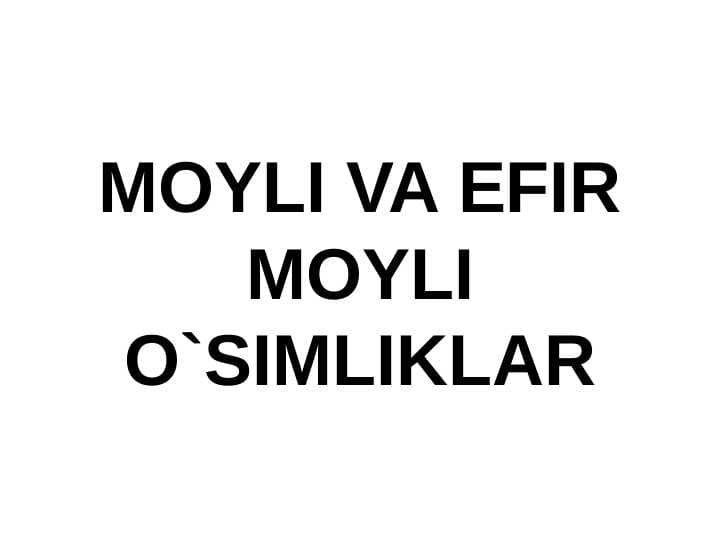 Moyli va efir moyli o`simliklar