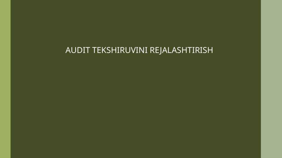 AUDIT TEKSHIRUVINI REJALASHTIRISH