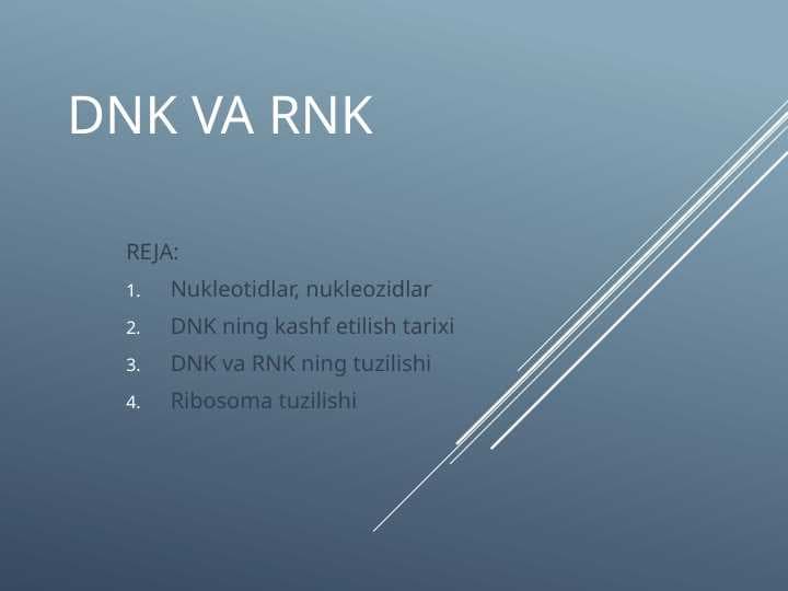DNK va RNK