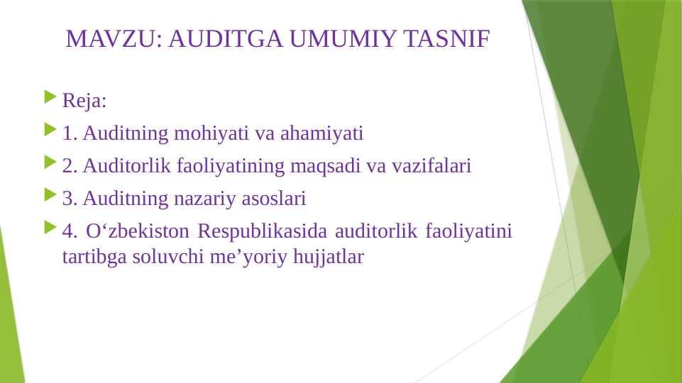 AUDITGA UMUMIY TASNIF
