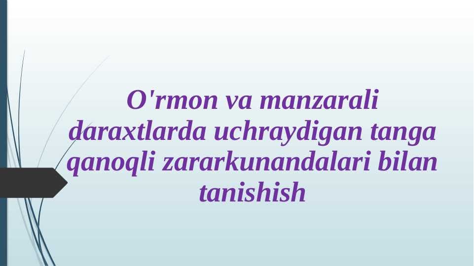 O‘rmon va manzarali daraxtlarda uchraydigan tanga qanoqli zararkunandalari bilan tanishish