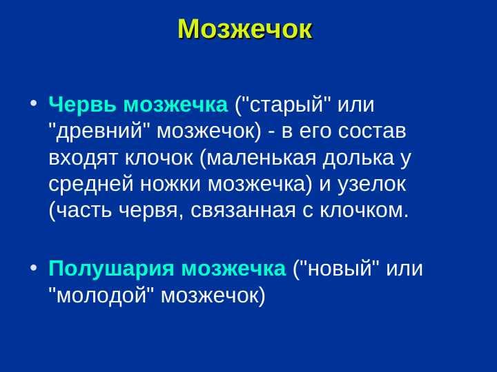 Мозжечок