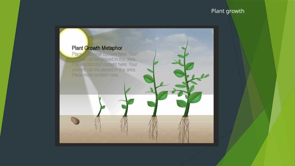 Plant products ppt