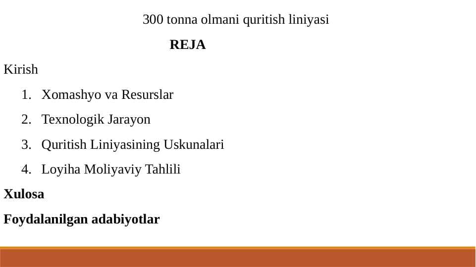 300 tonna olmani quritish linyasi