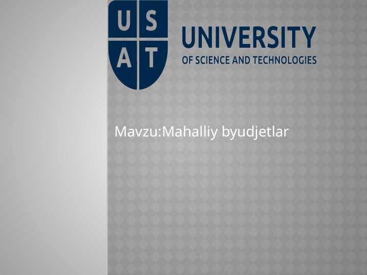 Mahalliy byudjetlar pptx