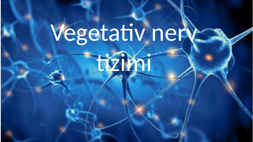 Vegetativ nerv tizimi