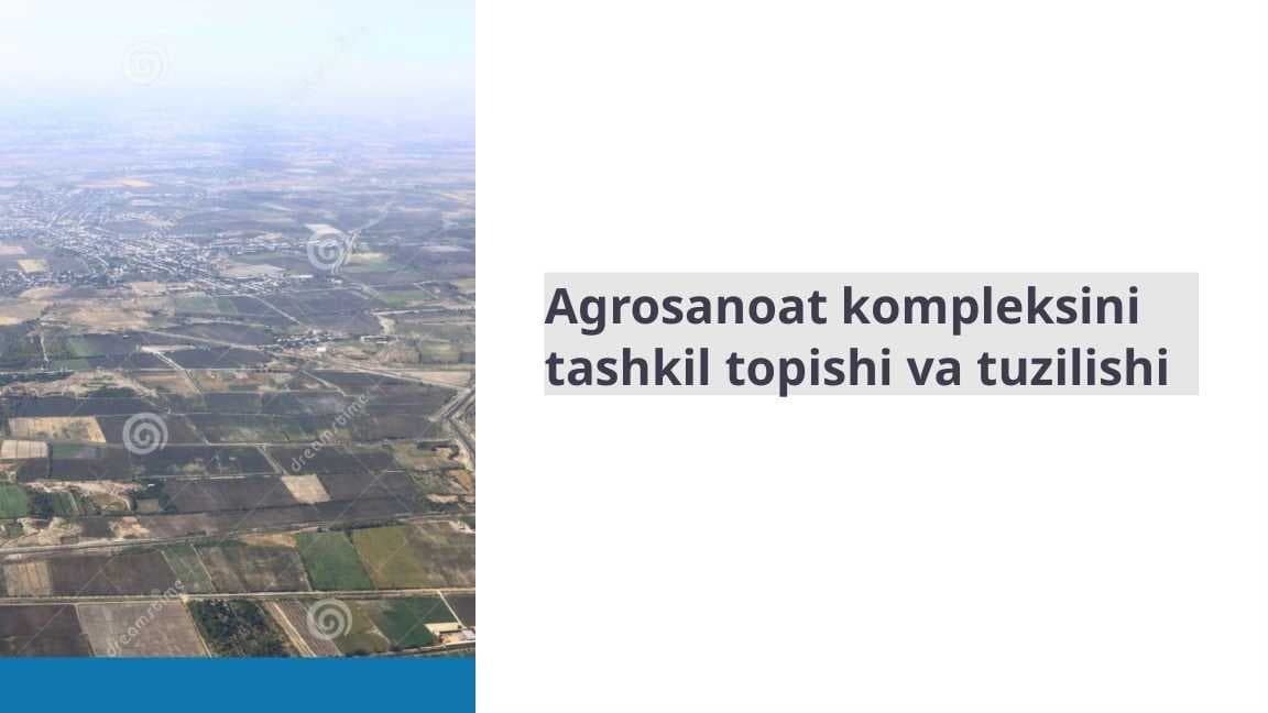 Agrosanoat kompleksini tashkil topishi va tuzilishi