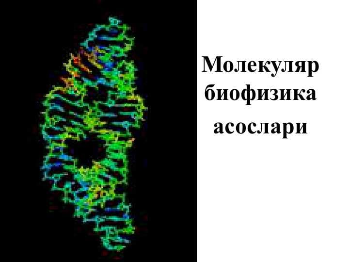 Молекуляр биофизика асослари