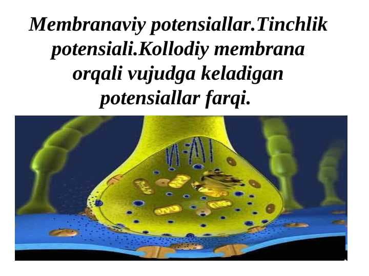 Membranaviy potensiallar.Tinchlik potensiali.Kollodiy membrana orqali vujudga keladigan potensiallar farqi.