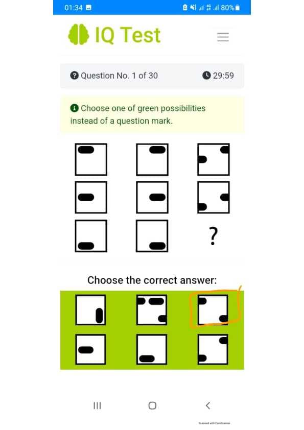 Argos IQ test javoblari