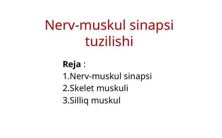 Nerv-muskul sinapsi tuzilishi