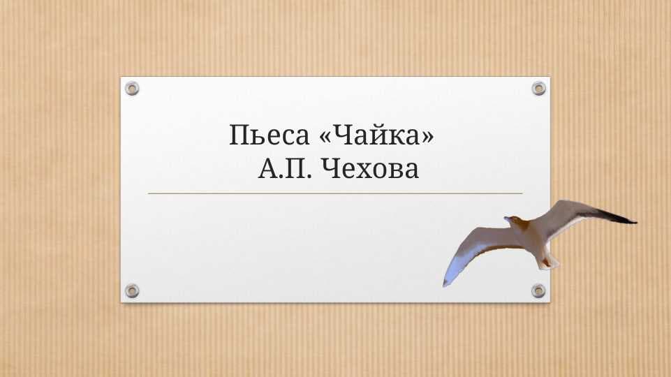 Чайка