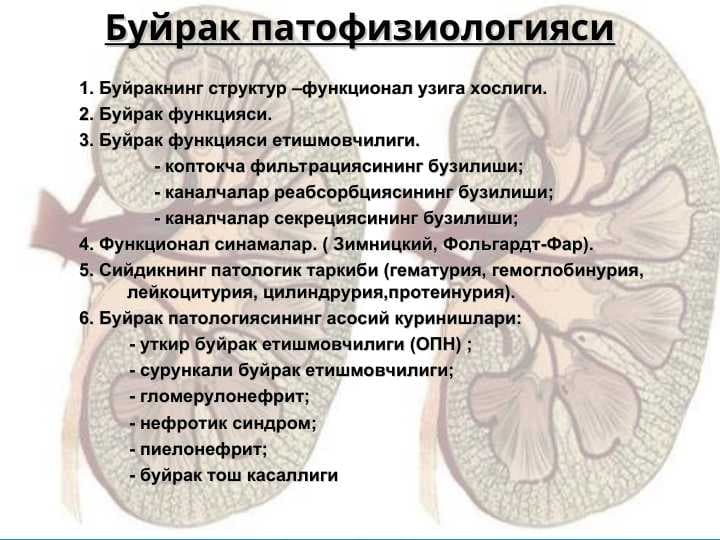 Буйрак патофизиологияси