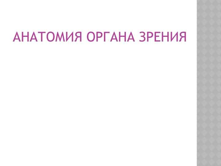 АНАТОМИЯ ОРГАНА ЗРЕНИЯ
