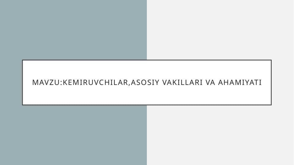 kemiruvchilar,asosiy vakillari va ahamiyati