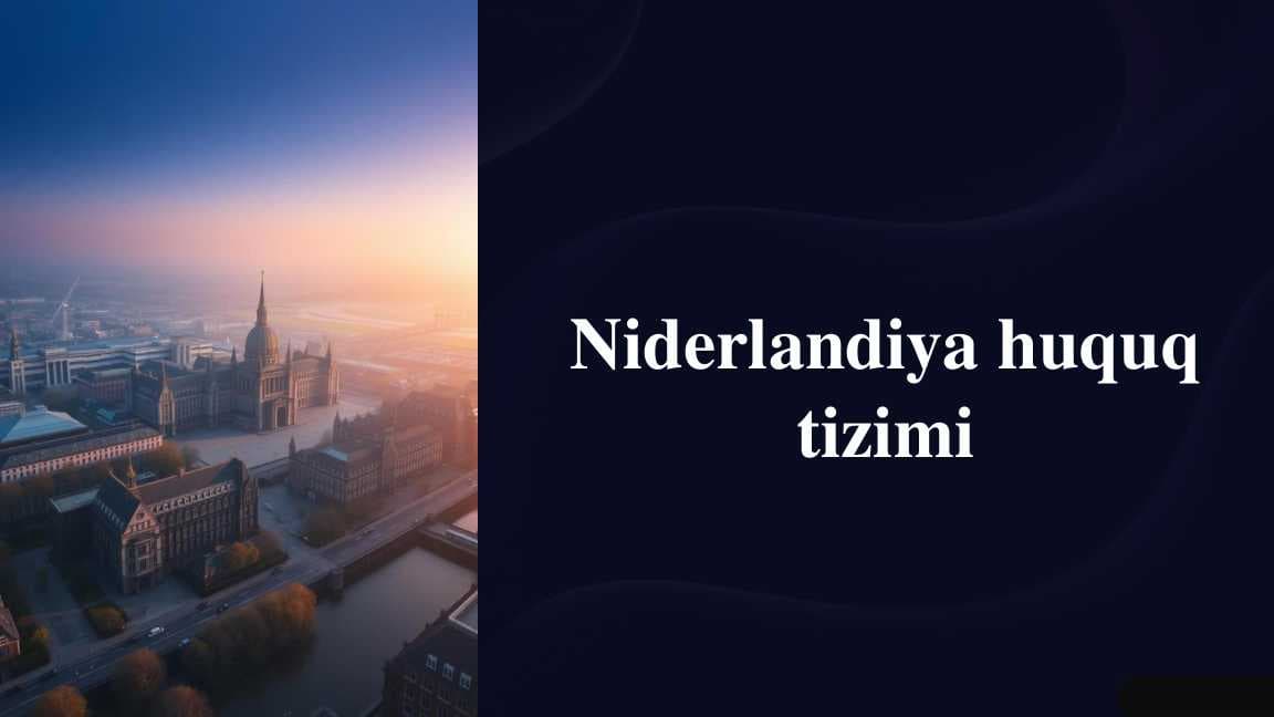 Niderlandiya huquq tizimi