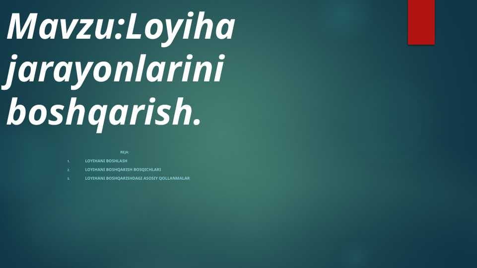 Loyiha jarayonlariniboshqarish.
