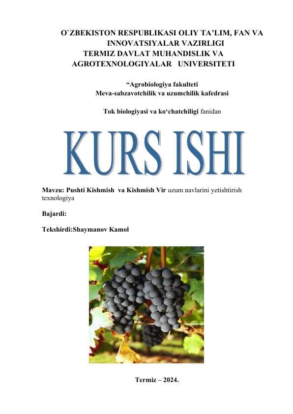 Pushti Kishmish  va Kishmish Vir uzum navlarini yetishtirish texnologiya