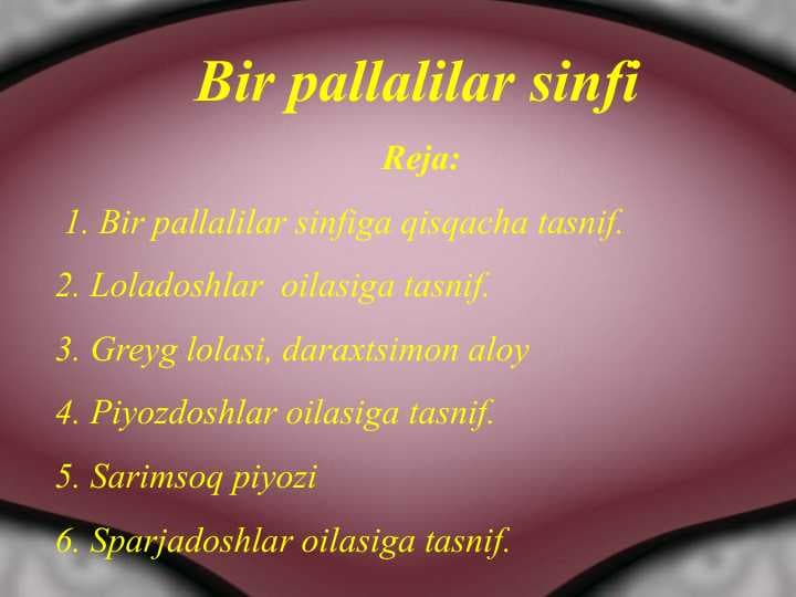 Bir pallalilar sinfi