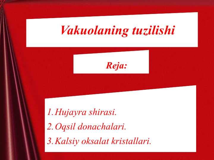 Vakuolaning tuzilishi