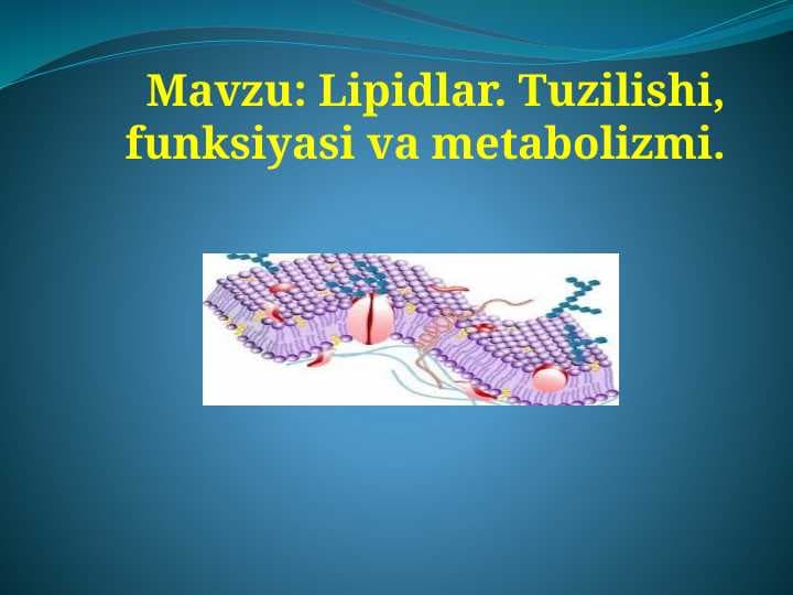 Lipidlаr. Tuzilishi, funksiyasi vа metаbolizmi