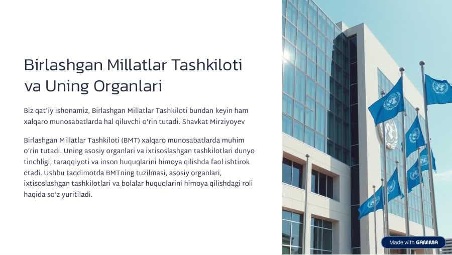 Birlashgan Millatlar Tashkiloti  va Uning Organlari