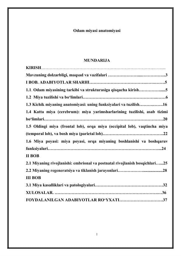 Odam miyasi anatomiyasi