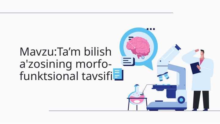 Ta’m bilish a'zosining morfo-funktsional tavsifi