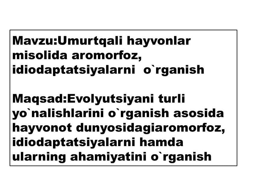 Umurtqali hayvonlar misolida aromorfoz, idiodaptatsiyalarni  o`rganish