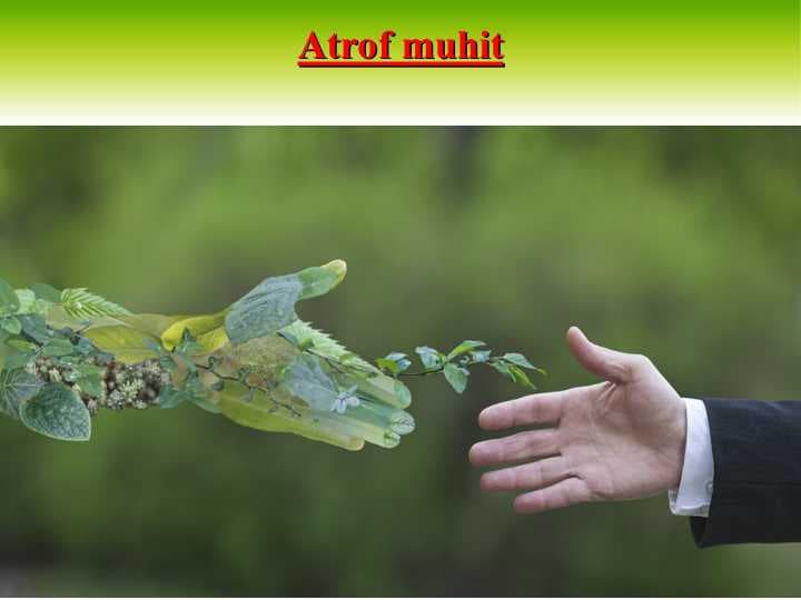Atrof muhit
