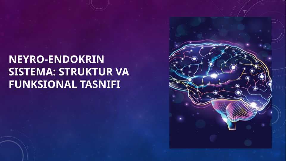 Neyro-endokrin Sistema : Struktur va Funksional Tasnifi