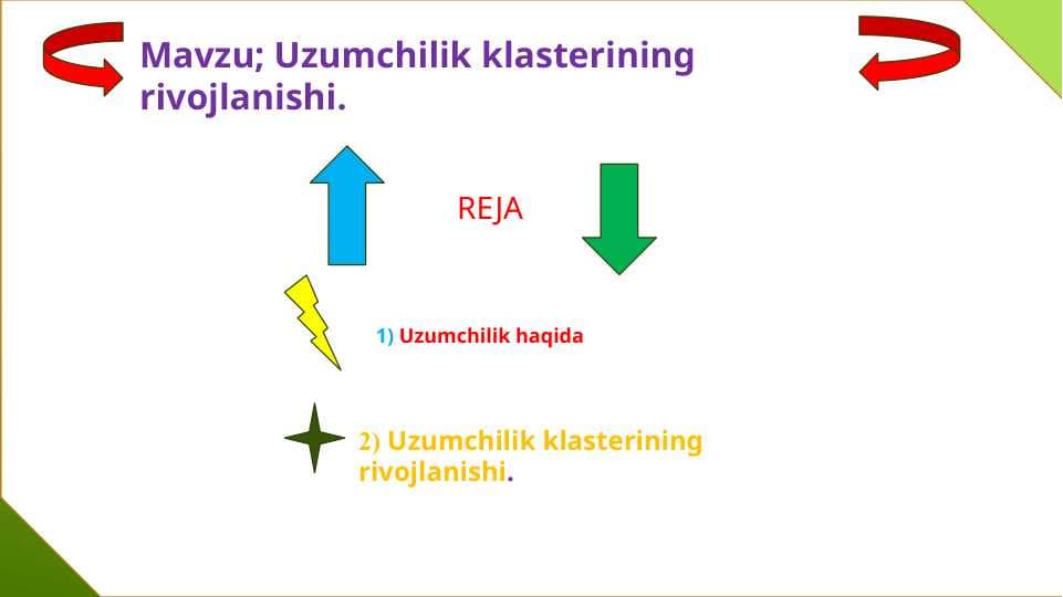 Uzumchilik klasterining rivojlanishi.