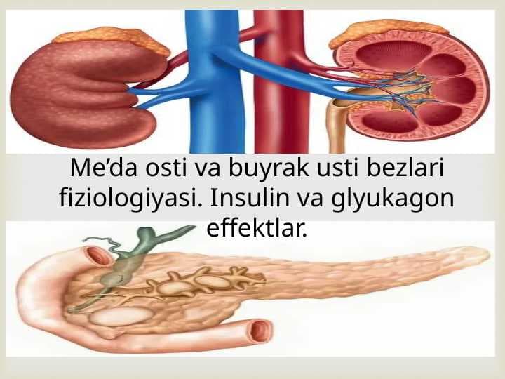 Me’da osti va buyrak usti bezlari fiziologiyasi. Insulin va glyukagon effektlar.