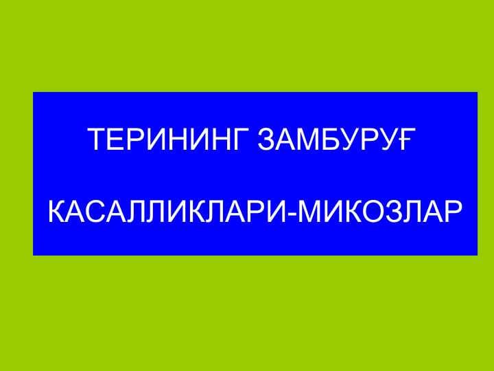 ТЕРИНИНГ ЗАМБУРУҒ КАСАЛЛИКЛАРИ-МИКОЗЛАР