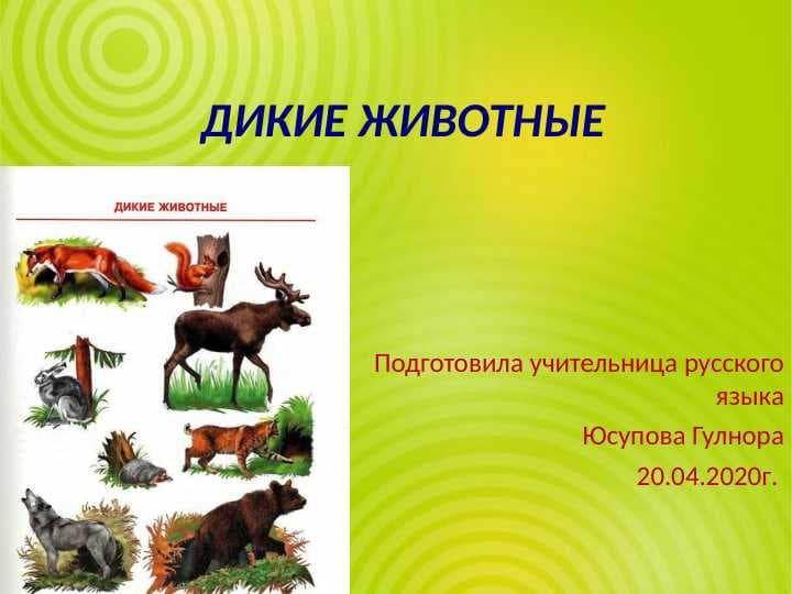 ДИКИЕ ЖИВОТНЫЕ