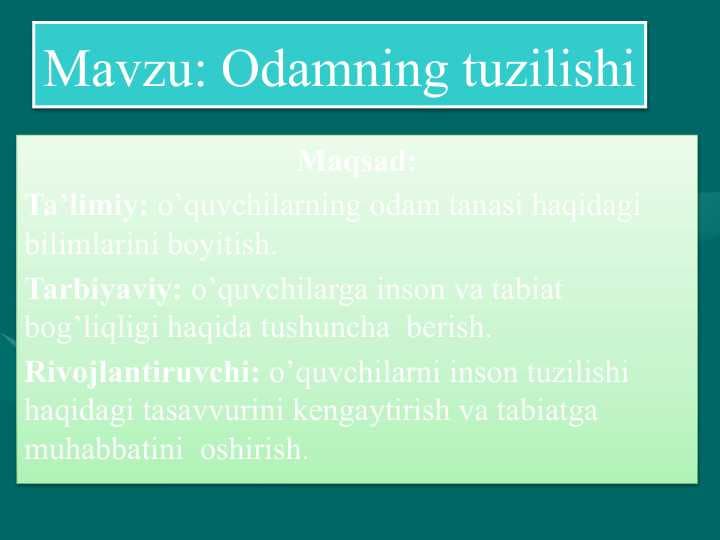 Odamning tuzilishi