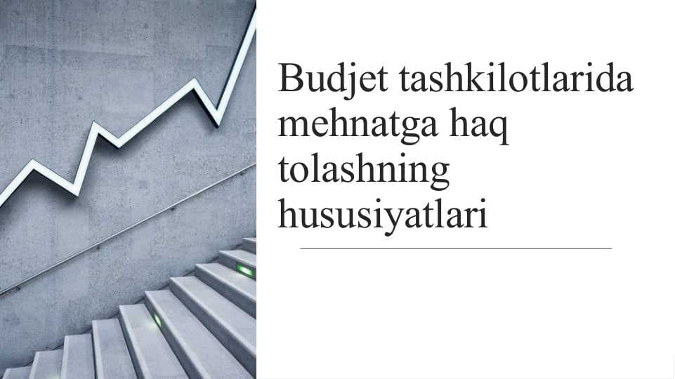 Budjet tashkilotlarida  mehnatga haq tolashning hususiyatlari