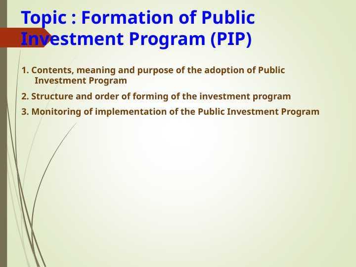 Formation of Public Investment Program (PIP)