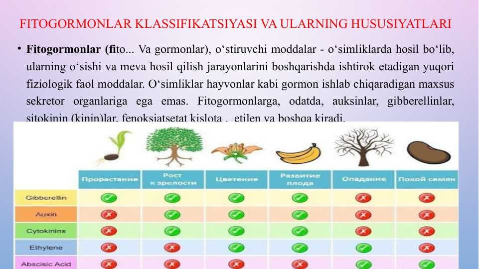 Fitogormonlar klassifikatsiyasi va ularning hususiyatlari
