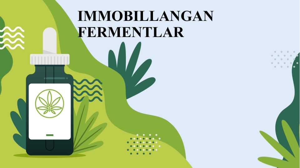 IMMOBILLANGAN FERMENTLAR