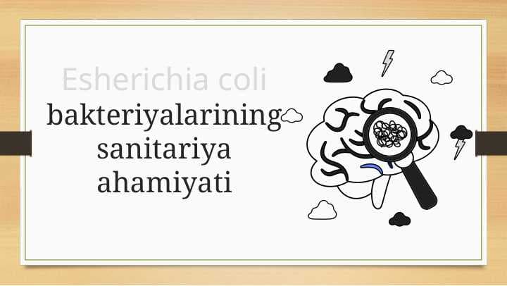 Esherichia coli bakteriyalarining sanitariya ahamiyati