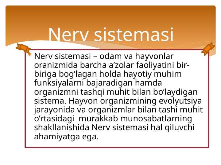 Nerv sistemasi