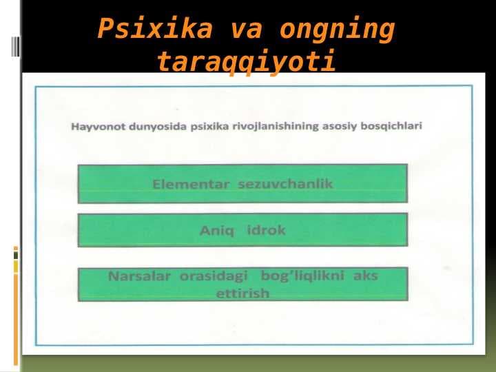 Psixika va ongning taraqqiyoti (2)