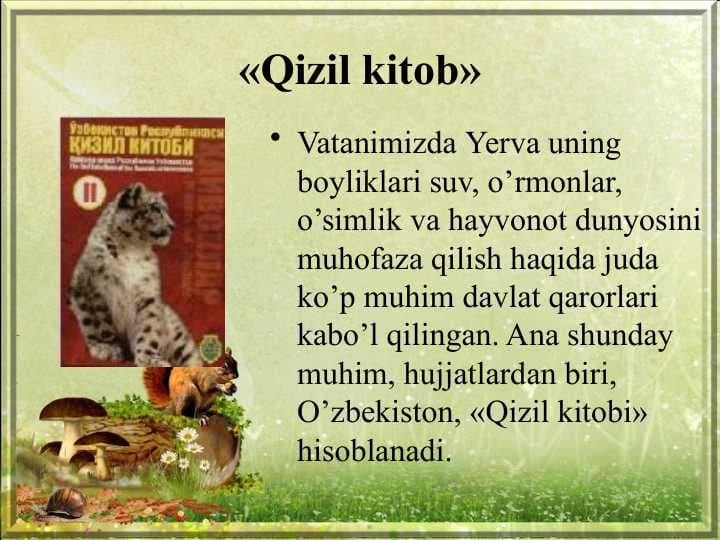 Qizil kitob